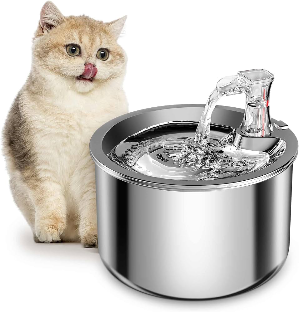 Đài phun nước tự động