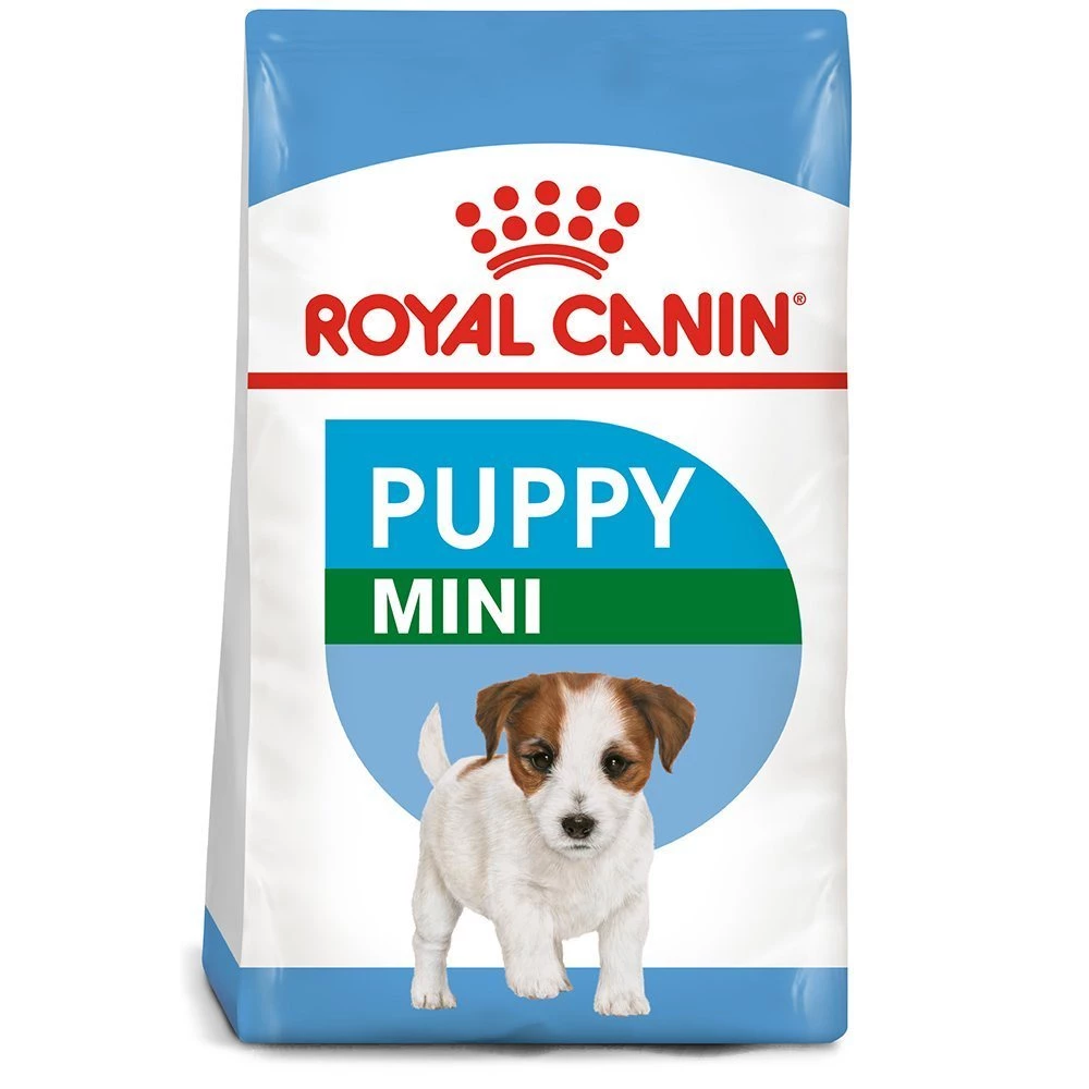 royal-canin-cho-cho